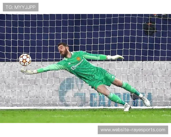 英超门将扑救榜：西甲门将整体表现领先五大联赛